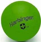 4 lb. Weighted Fitness Ball